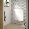 Hudson Reed Revive 600 X 586mm Horizontal Double Panel Radiator - Gloss White -Victorian Plumbing shop hl338d d1